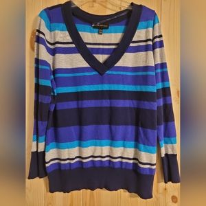 Lane Bryant Blue V-neck Sweater 14/16 Plus